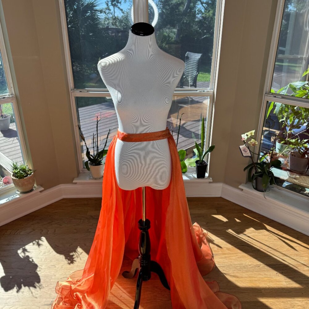 Orange Dress (Homecoming or Fun Fashion) - Picture 3 of 4